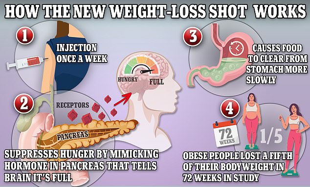 Weight loss drugs like Ozempic and Wegovy mimic the production of the hormone GLP-1, which helps keep the body full.