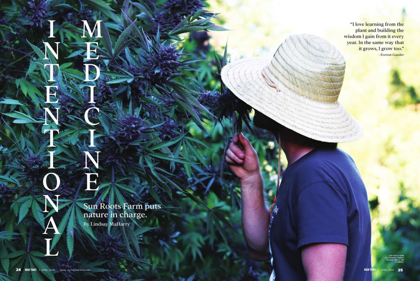 Intentional Medicine |  high times